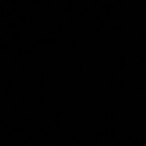 Meet your Posher, Julian